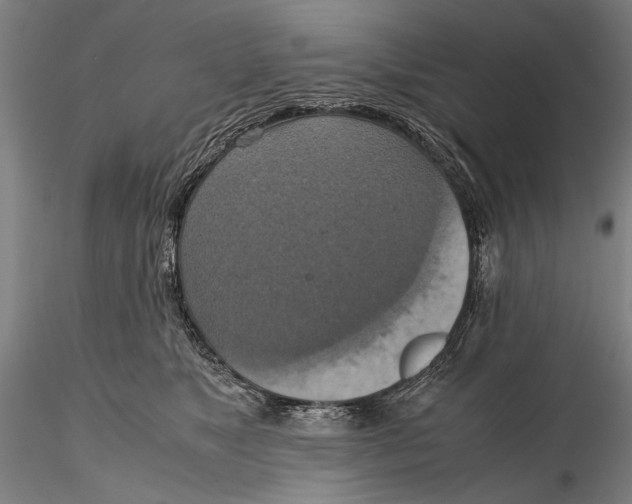 X0000115390517200912011231