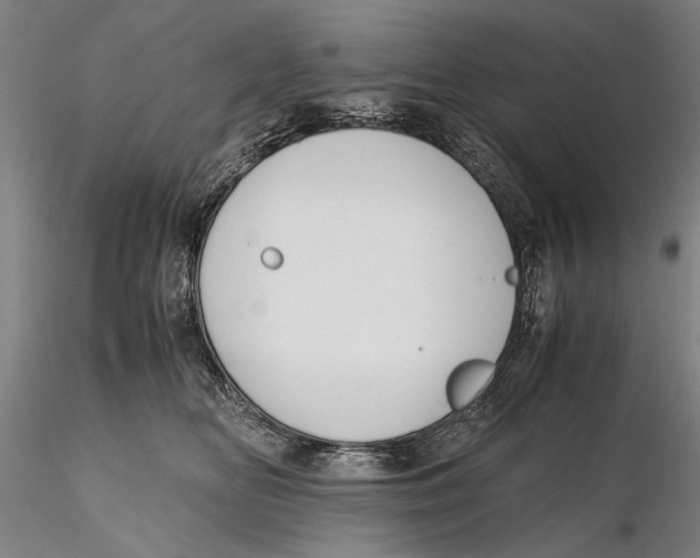 X0000115390518200912011231