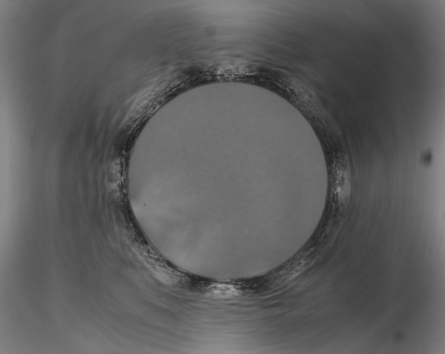 X0000115390519200912011231