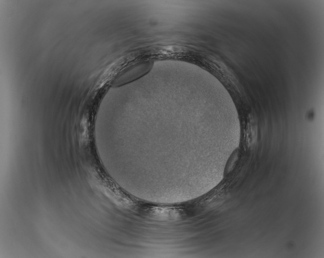 X0000115390520200912011231