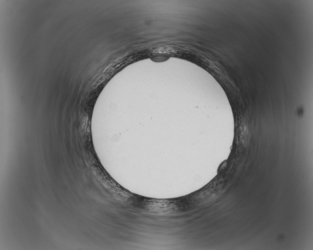 X0000115390521200912011231