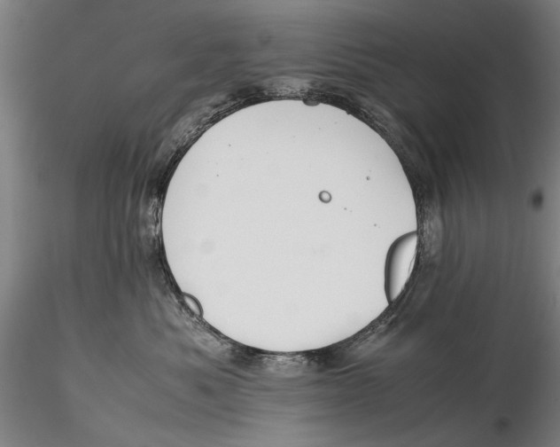 X0000115390525200912011231