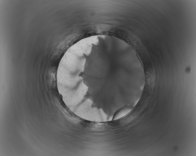 X0000115390527200912011231