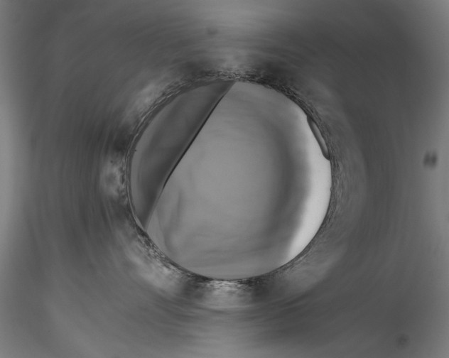 X0000115390528200912011231