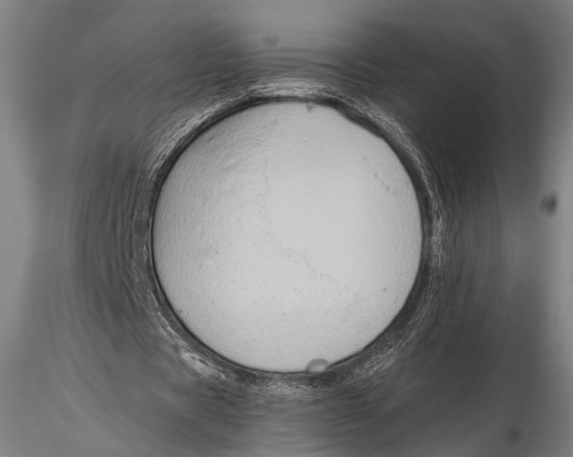 X0000115390529200912011230