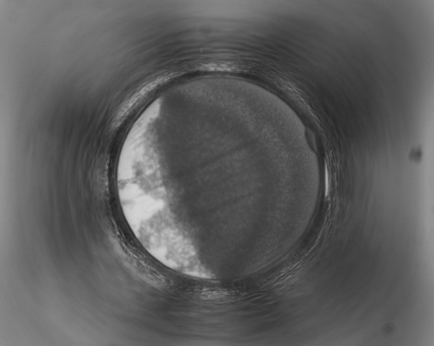 X0000115390531200912011230