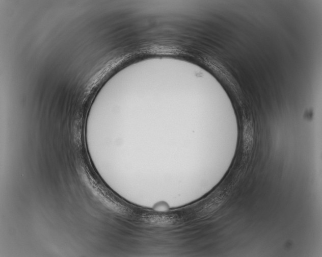 X0000115390533200912011231