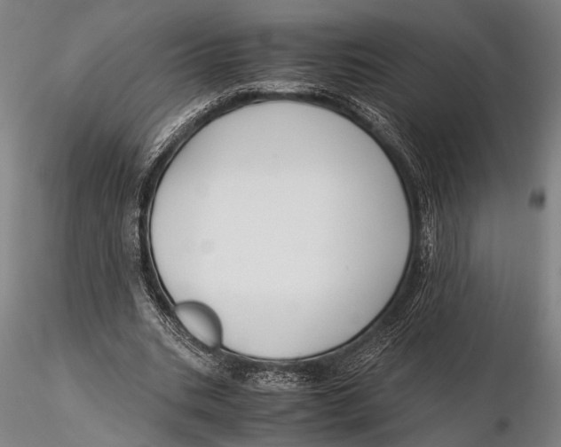 X0000115390535200912011231