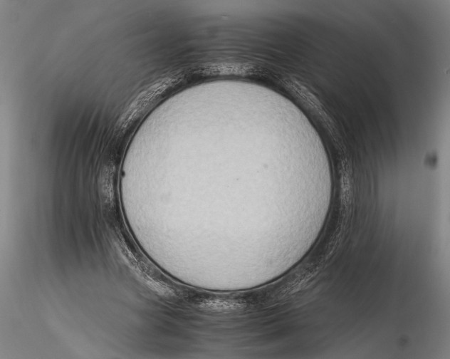 X0000115390537200912011231