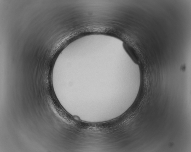 X0000115390538200912011231