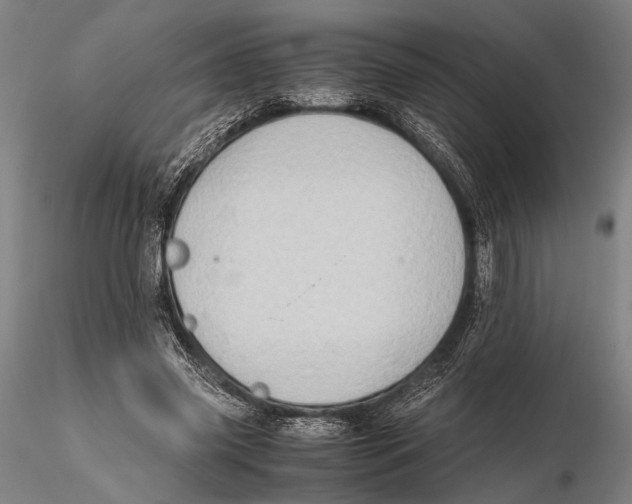 X0000115390541200912011231