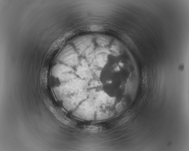 X0000115390542200912011231