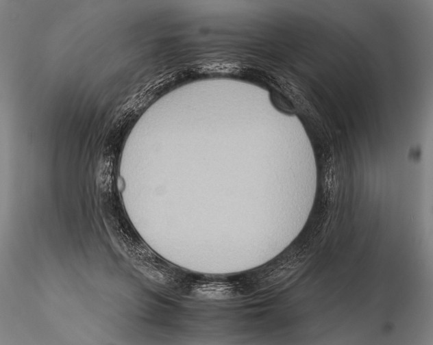 X0000115390551200912011231