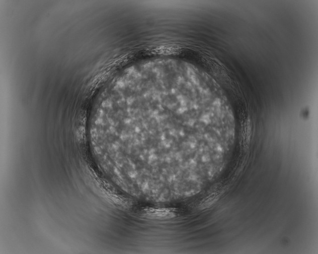 X0000115390553200912011231