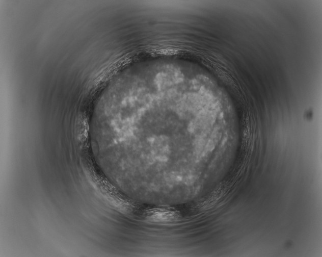 X0000115390555200912011231