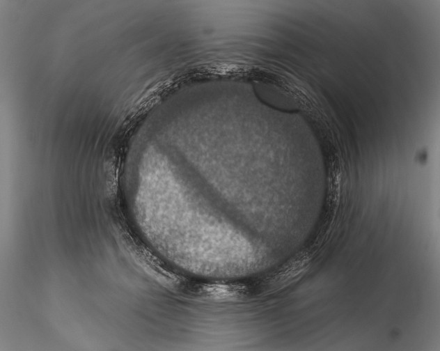 X0000115390558200912011231