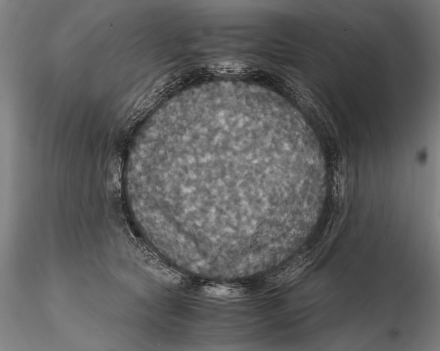 X0000115390561200912011231