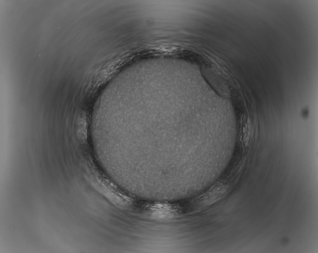 X0000115390562200912011231