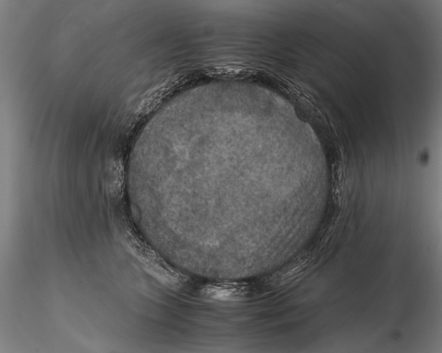 X0000115390563200912011231