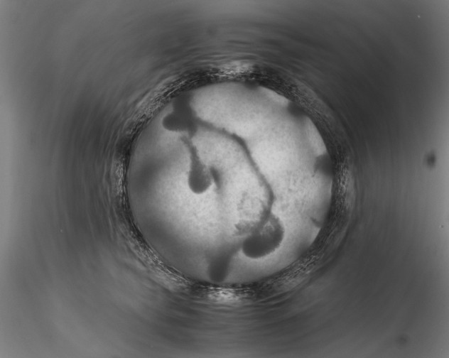 X0000115390565200912011231