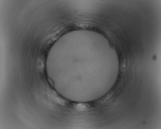 X0000115390566200912011231