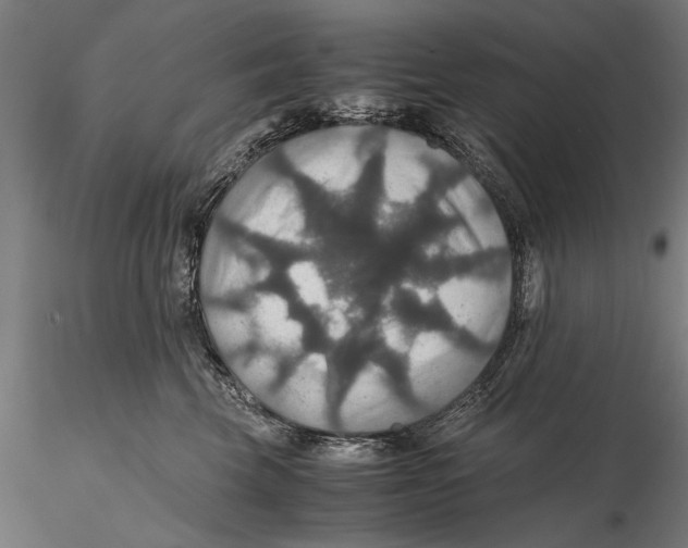 X0000115390569200912011231