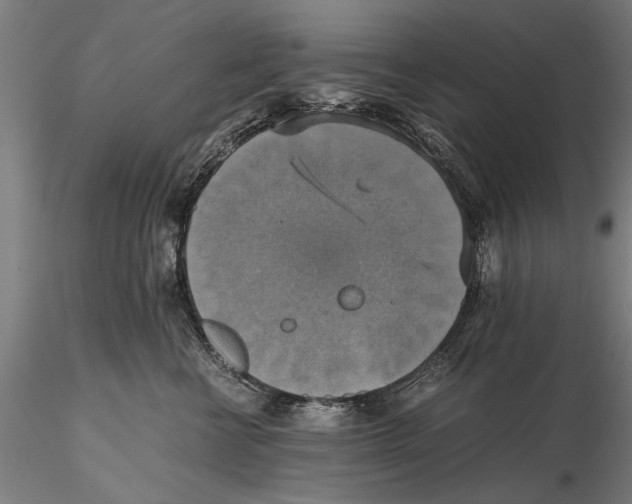 X0000115390570200912011231