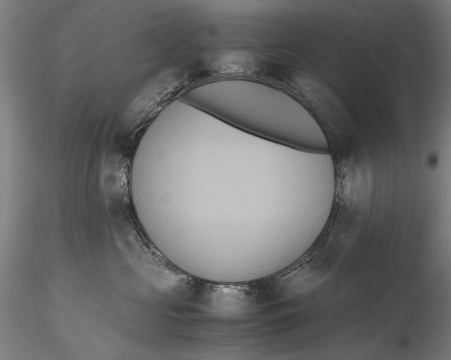 X0000115390573200912011231