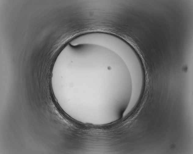 X0000115390577200912011230