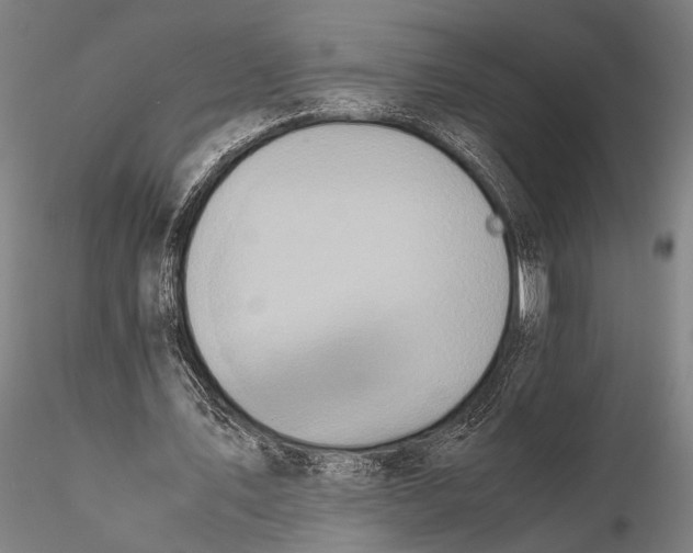 X0000115390579200912011230