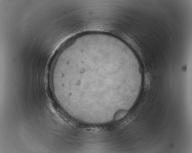 X0000115390580200912011230