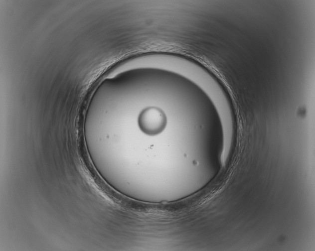 X0000115390581200912011230