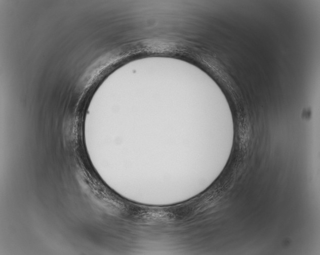 X0000115390583200912011230