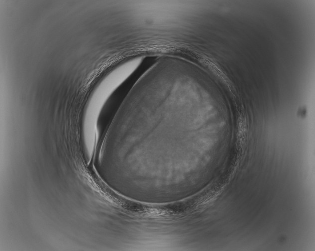 X0000115390585200912011230