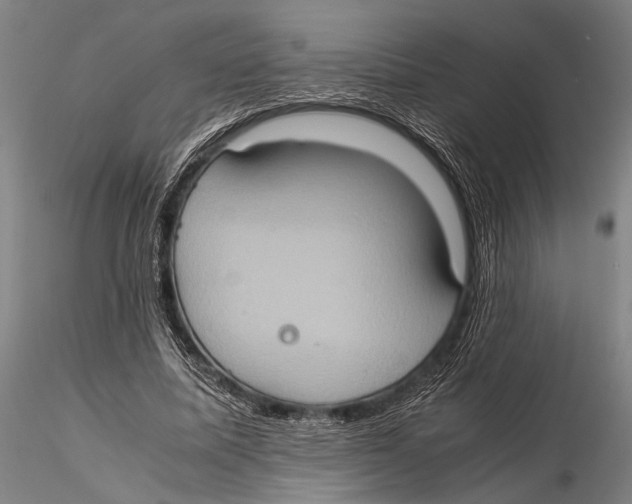 X0000115390587200912011230