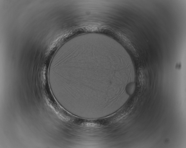 X0000115390590200912011230