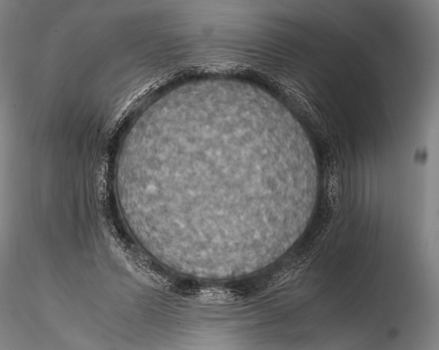 X0000115390591200912011230