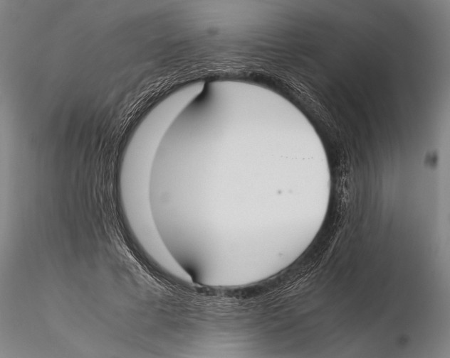 X0000115390593200912011230