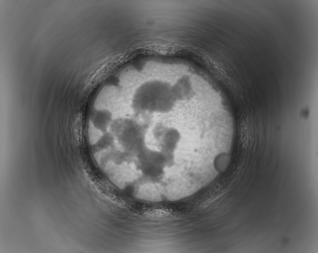 X0000115390594200912011230