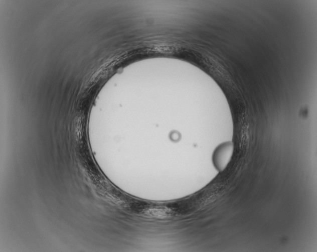 X0000115390595200912011230