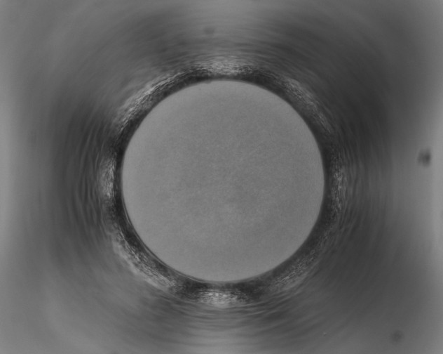 X0000115390596200912011230