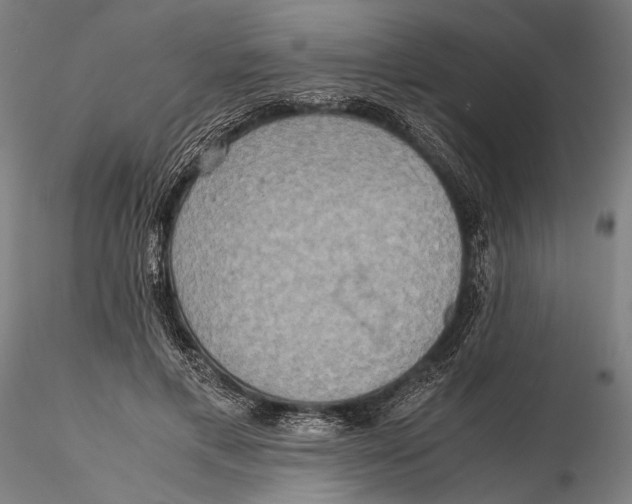 X0000115390597200912011230