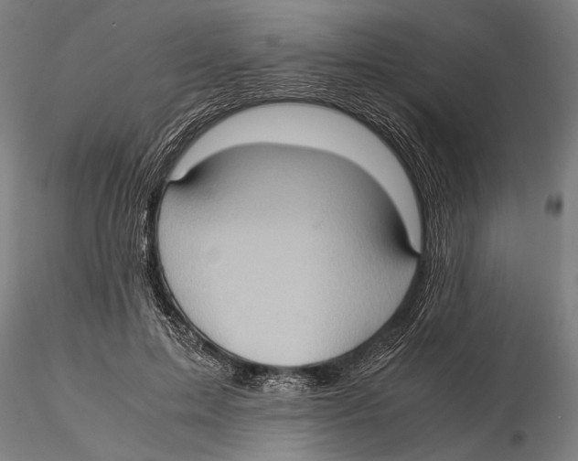 X0000115390599200912011230