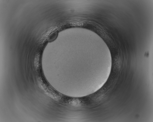 X0000115390600200912011230