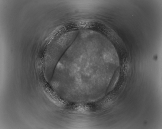 X0000115390601200912011230