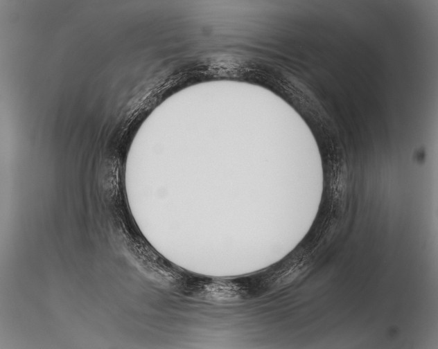 X0000115390603200912011230