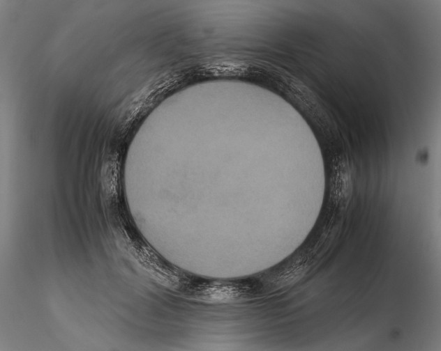 X0000115390604200912011230