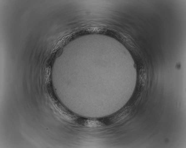 X0000115390605200912011230