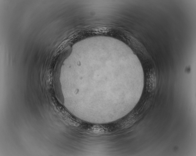 X0000115390608200912011230