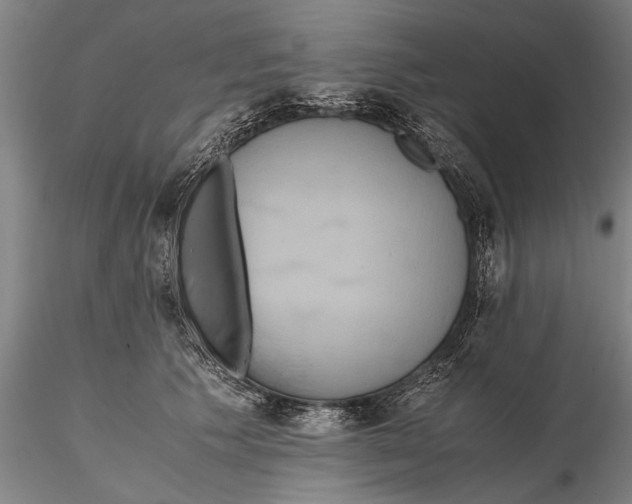 X0000115390609200912011230